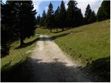 Za Ušivcem - Kapela Marije Snežne (Velika planina)